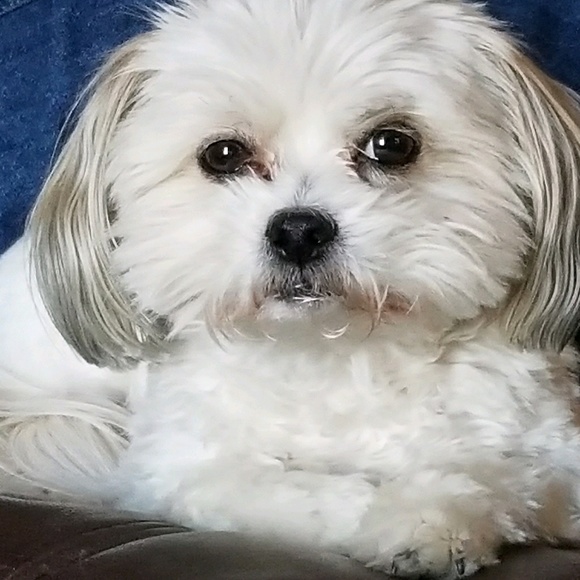 Meet your Posher, Rhonda - Picture 1 of 1